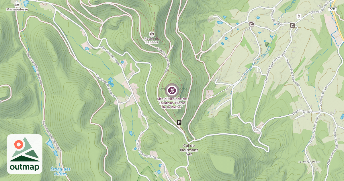 Map of Site d'Escalade de Taintrux "Pierre de la Roche"