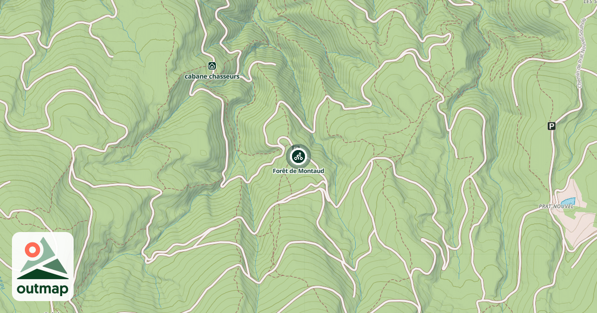 Map of Forêt de Montaud