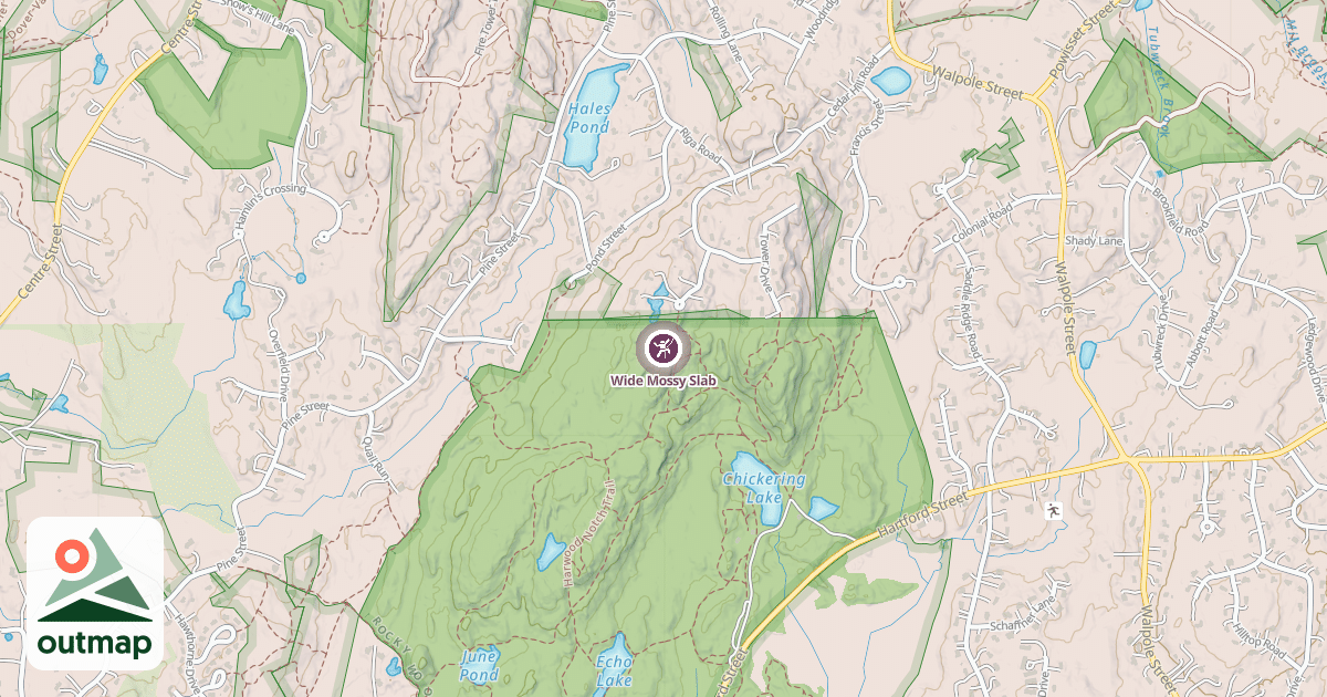 Map of Wide Mossy Slab