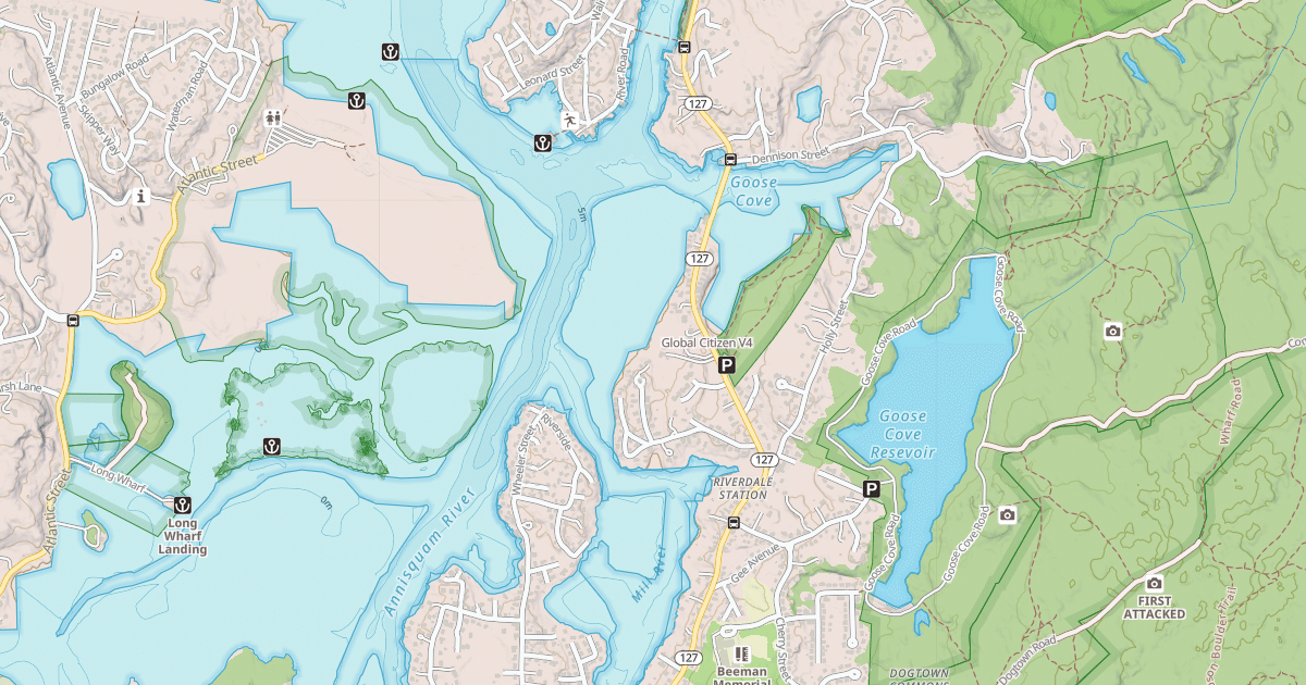 Map preview of Global Citizen