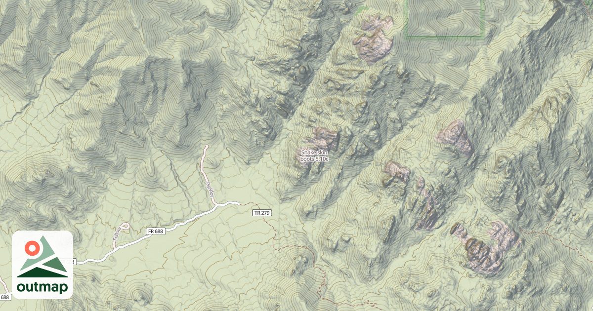Map of Snake skin boots