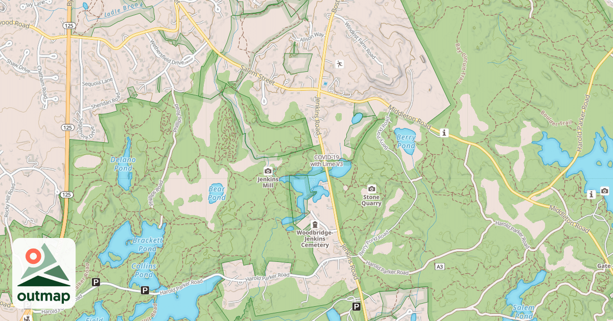 Map of COVID-19 with Lime