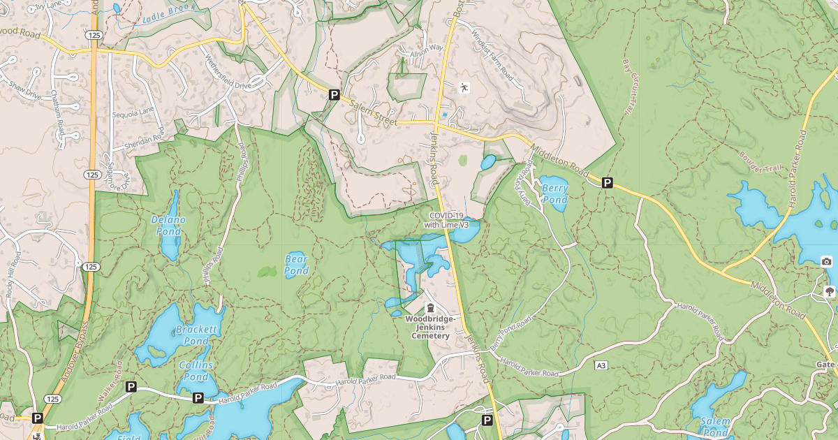 Map preview of COVID-19 with Lime