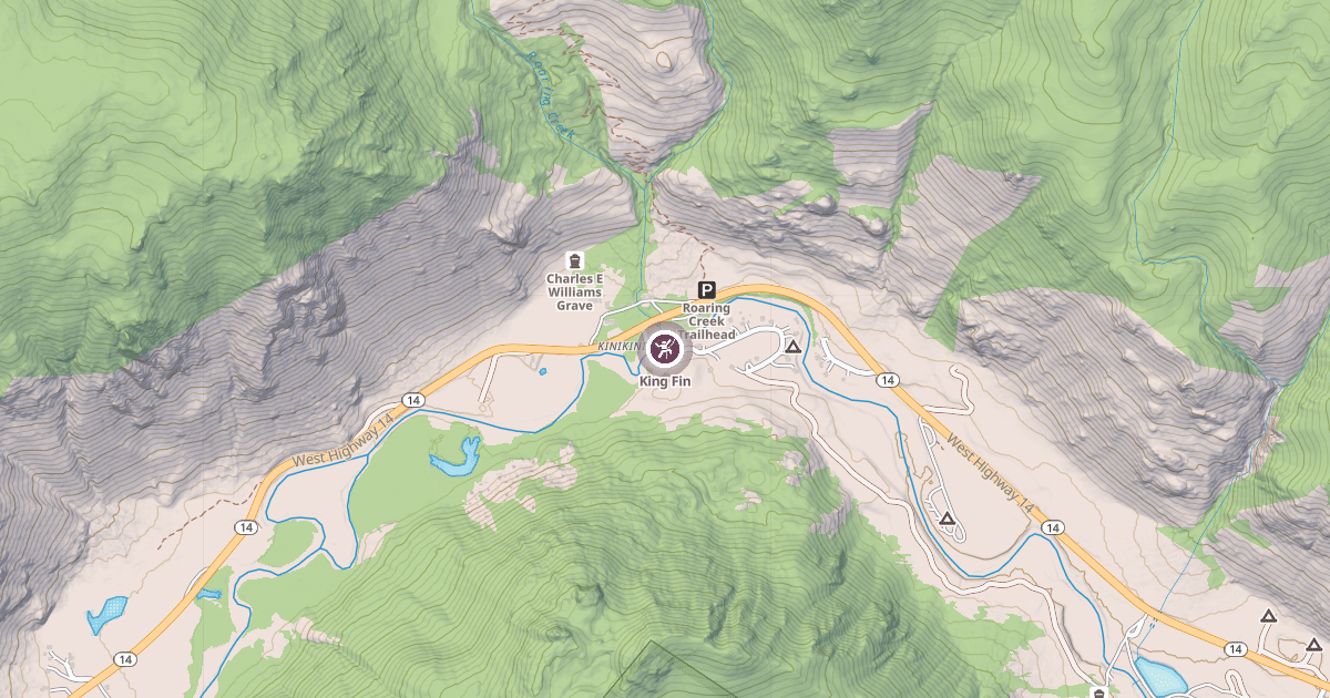 Map preview of King Fin