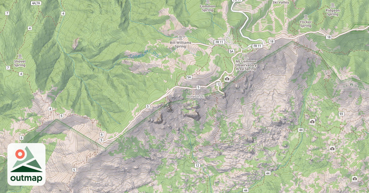 Map of Bones