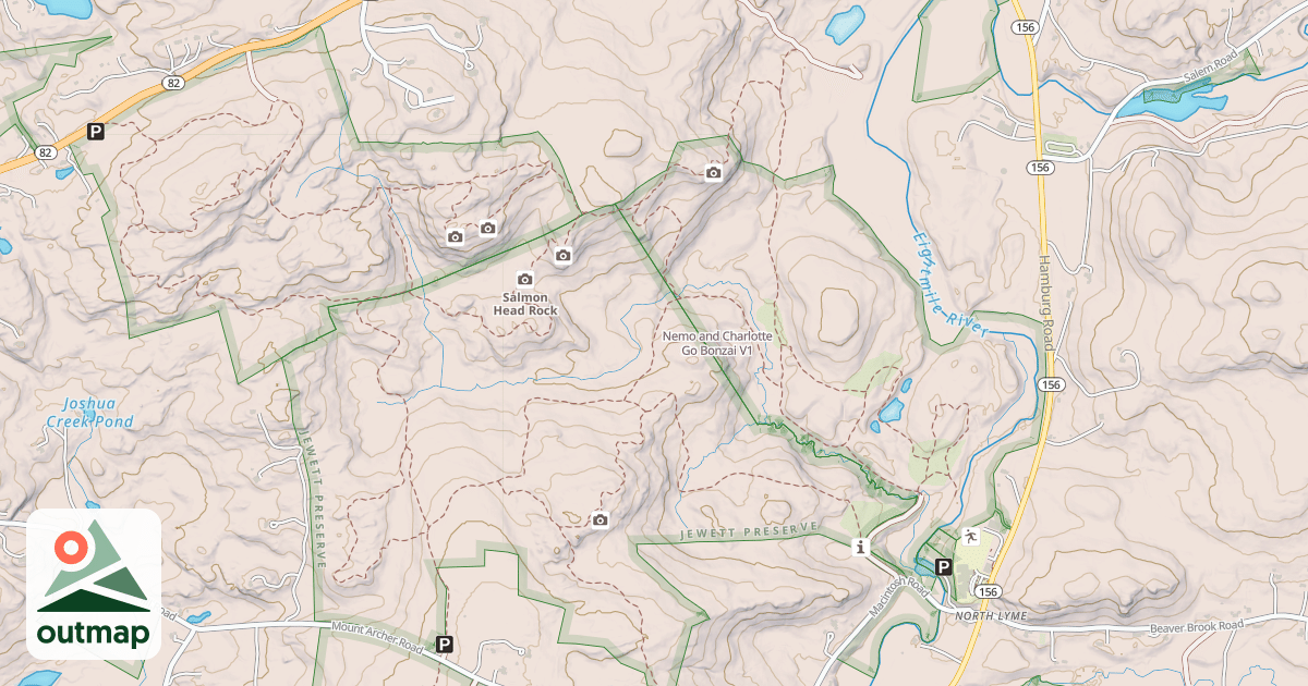 Map of Nemo and Charlotte Go Bonzai