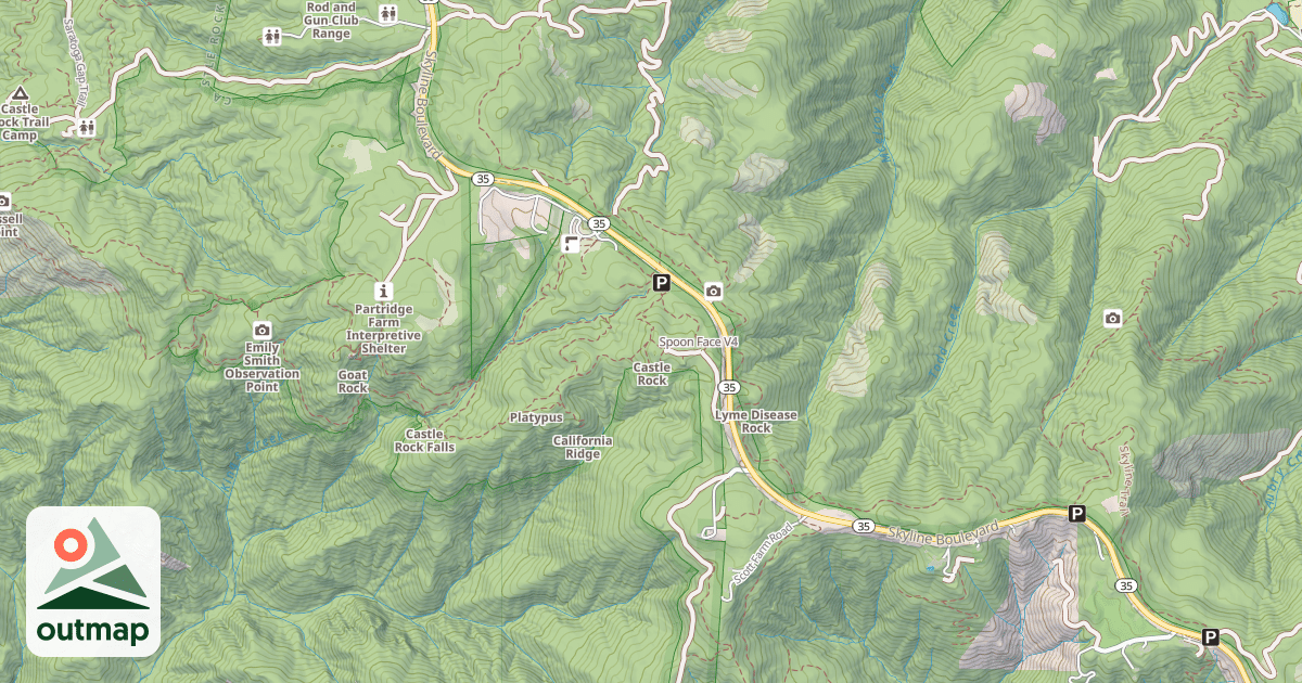 Map of Spoon Face