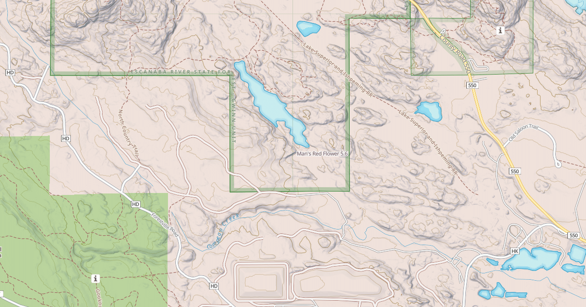 Map preview of Man's Red Flower