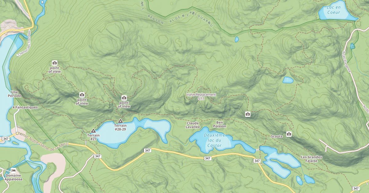 Map preview of Valve Replacement