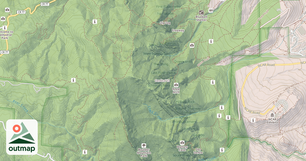 Map of Cerebral