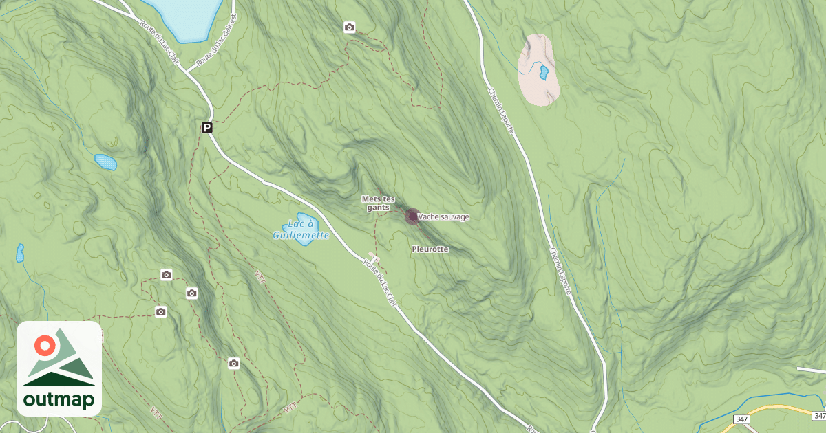 Map of Vache sauvage