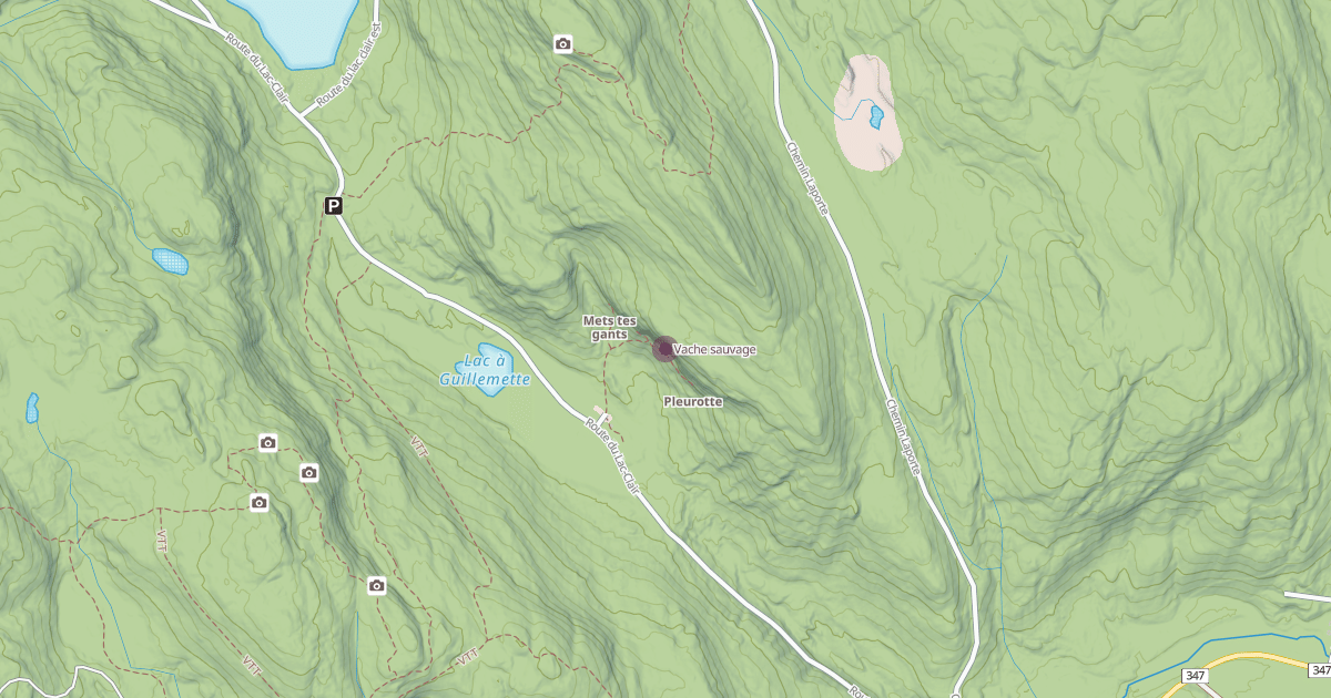 Map preview of Vache sauvage