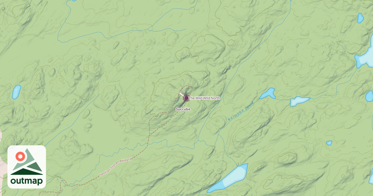 Map of The Wild Wild North