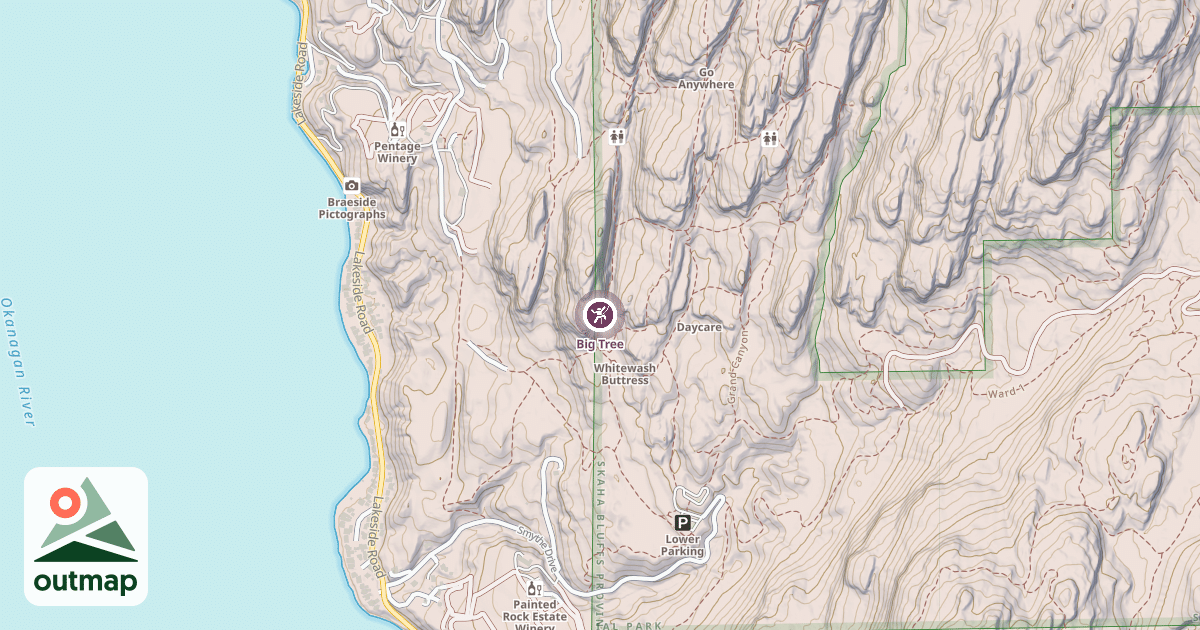 Map of Big Tree