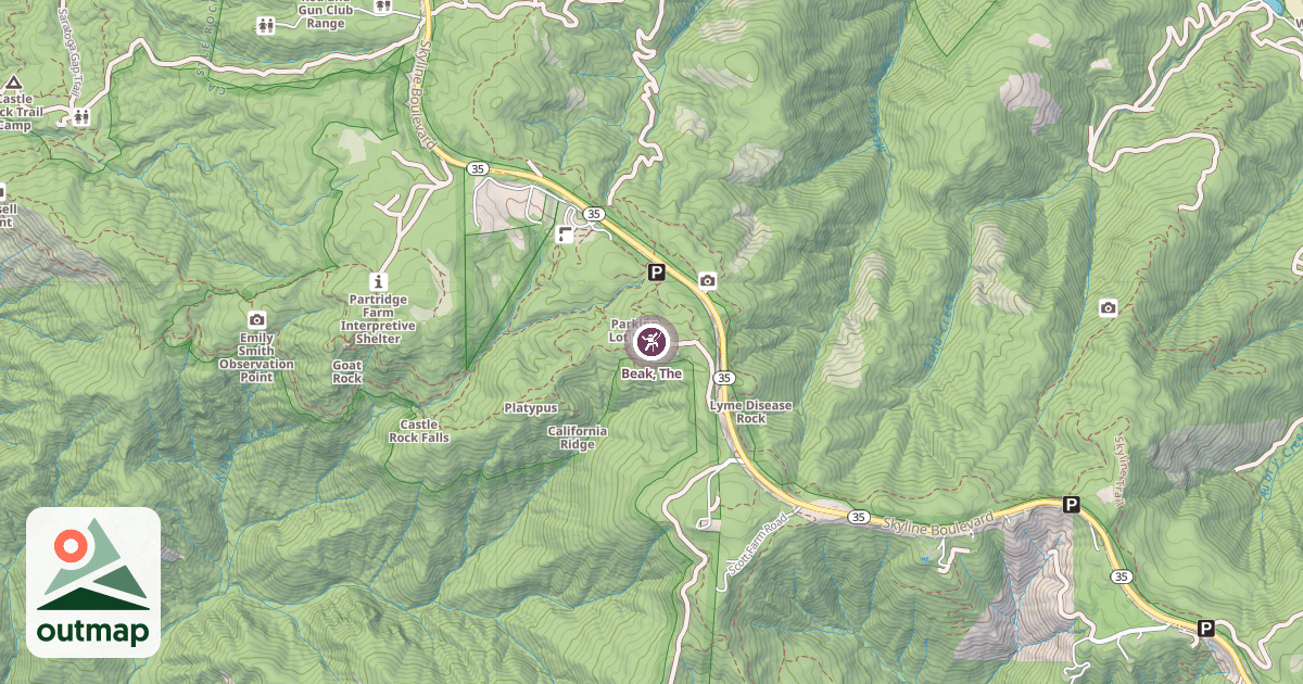 Map of Beak, The