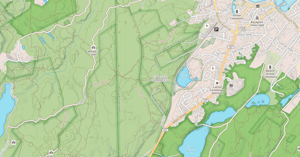 Map preview of Clear Your Schedule