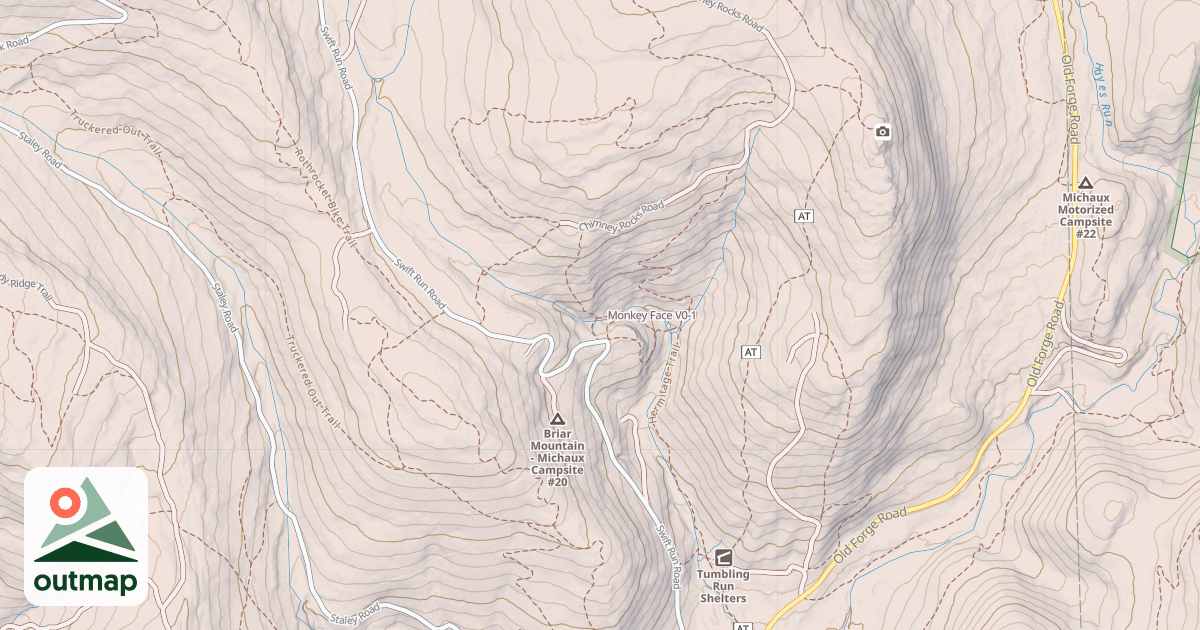 Map of Monkey Face