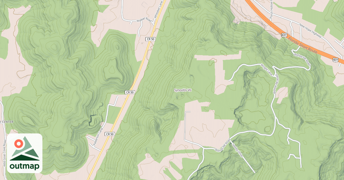 Map of Synovitis