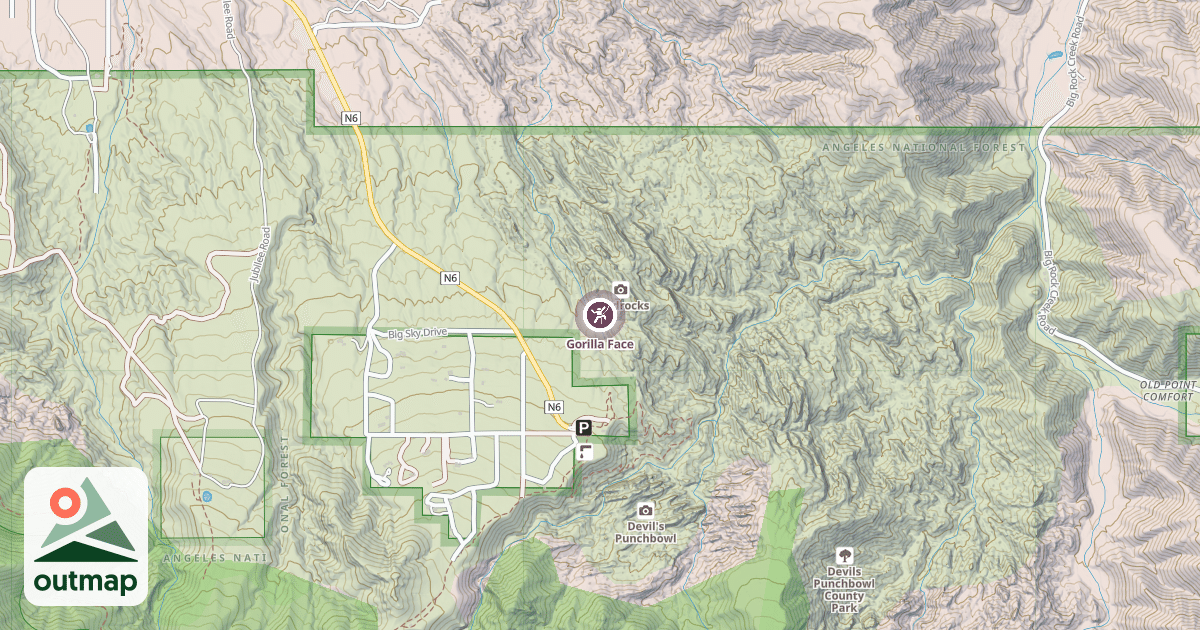 Map of Gorilla Face