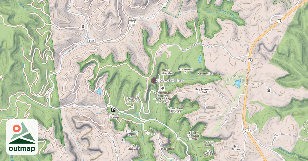 Map of All Draws & No Brains