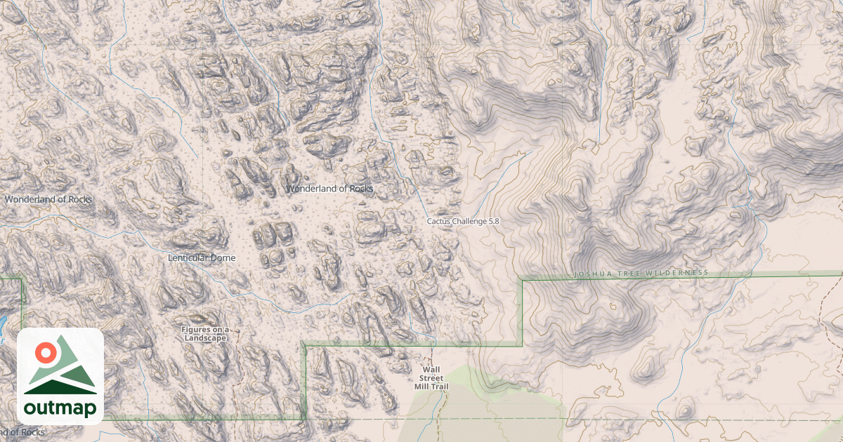 Map of Cactus Challenge