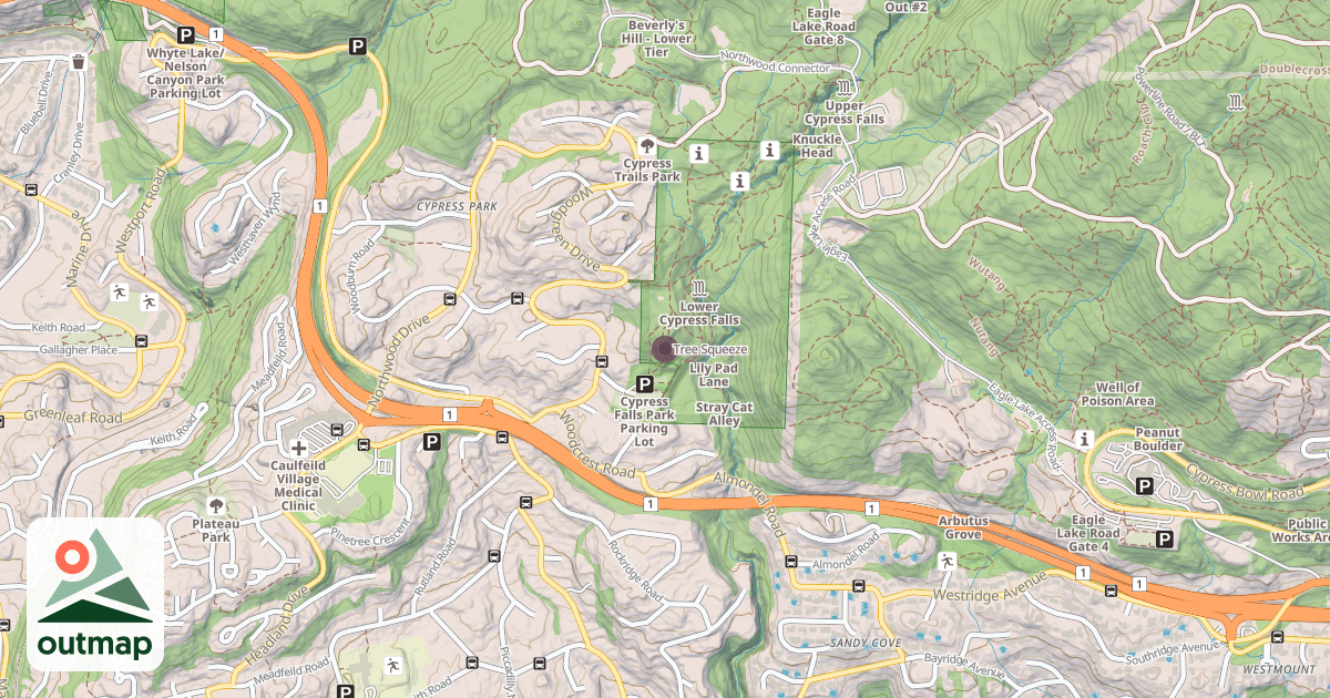 Map of Tree Squeeze