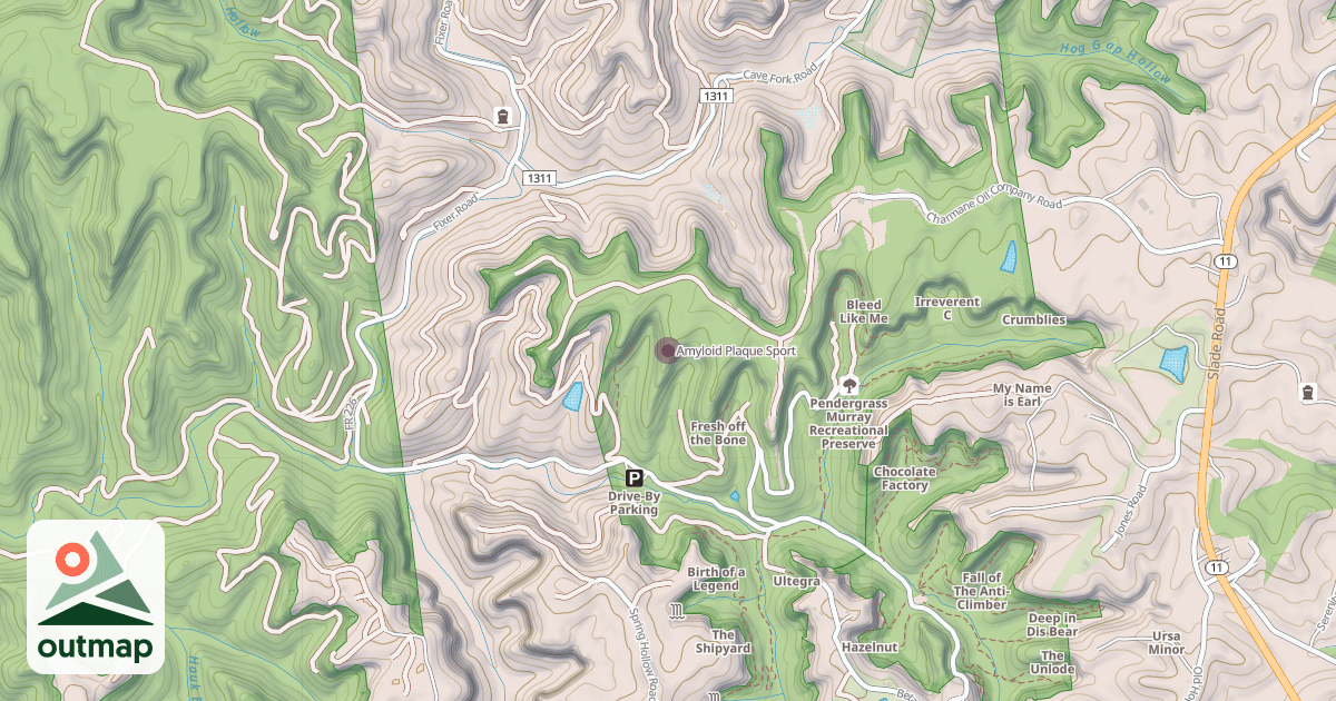 Map of Amyloid Plaque Sport