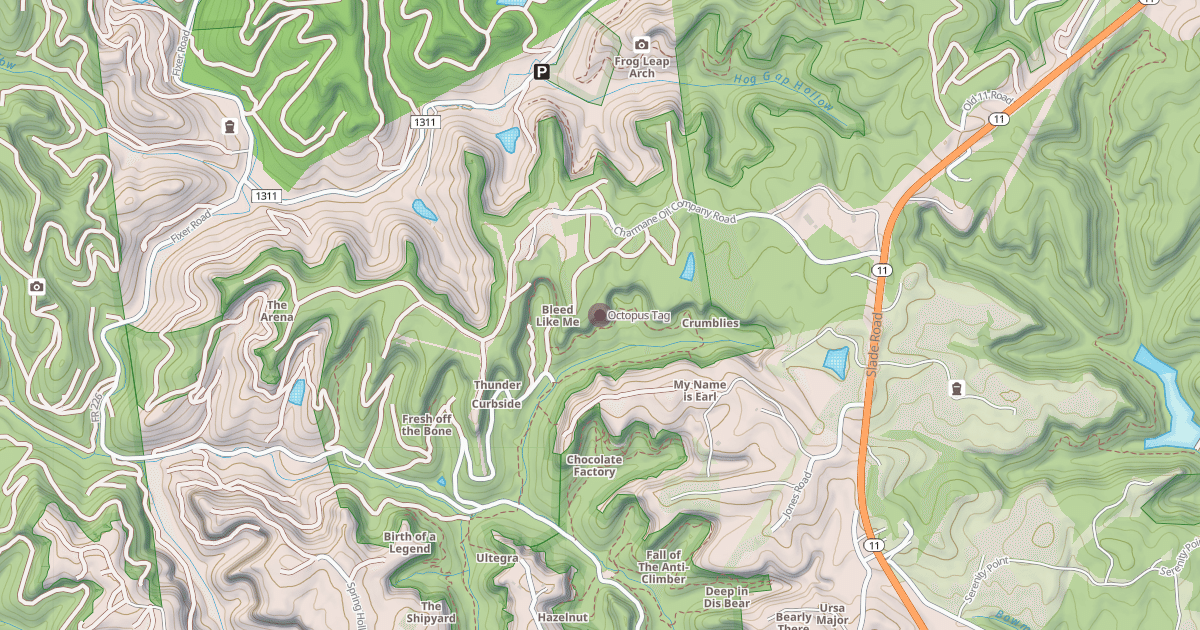 Map preview of Octopus Tag