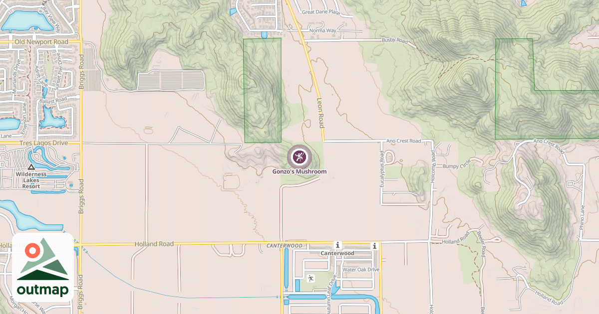 Map of Gonzo's Mushroom