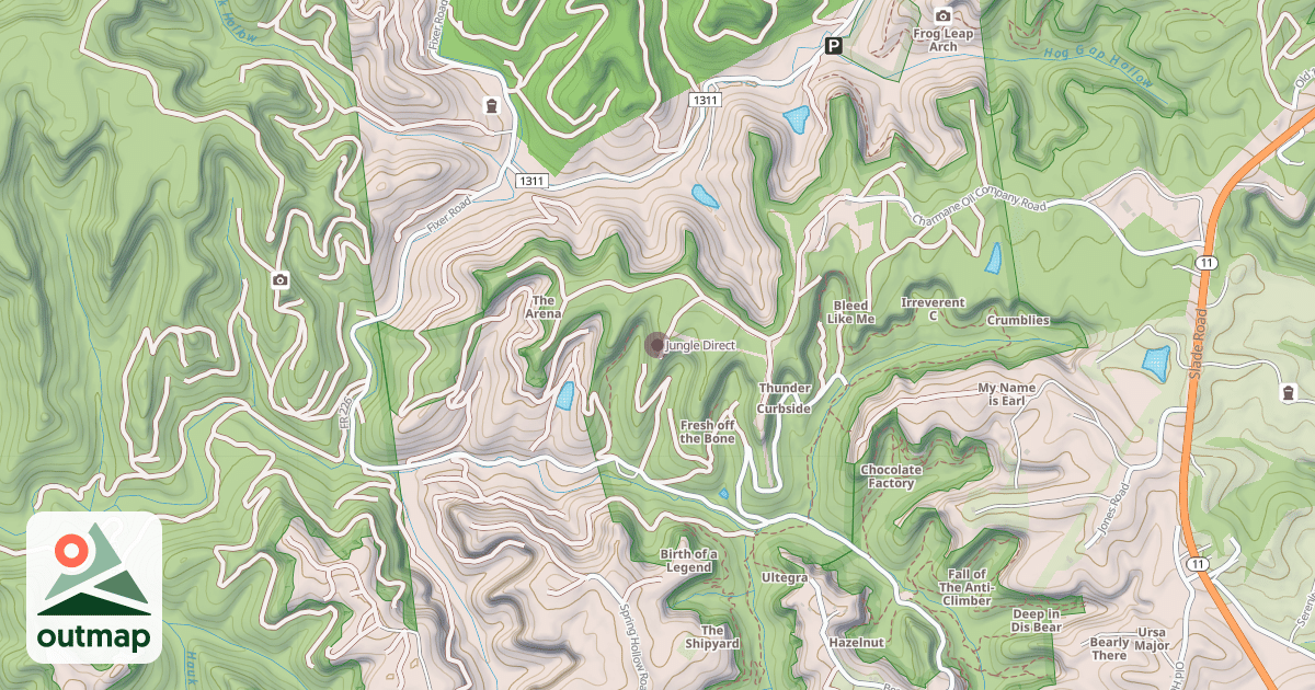 Map of Jungle Direct