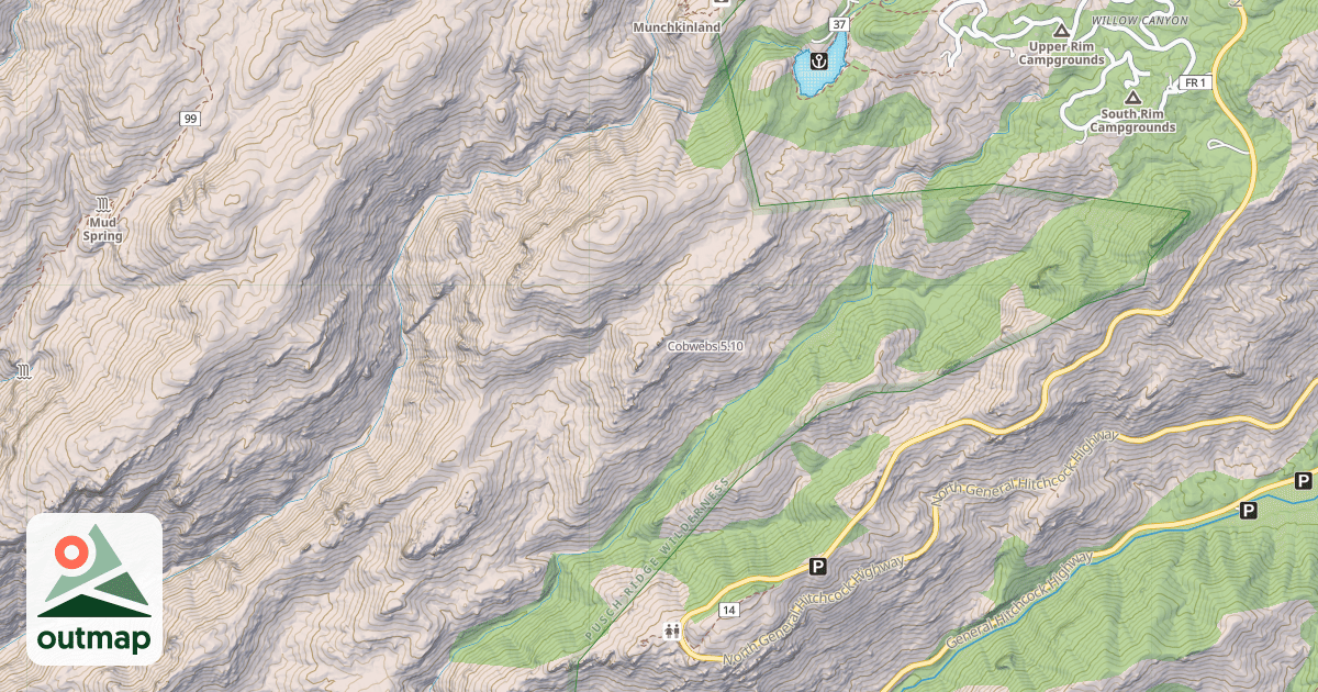 Map of Cobwebs
