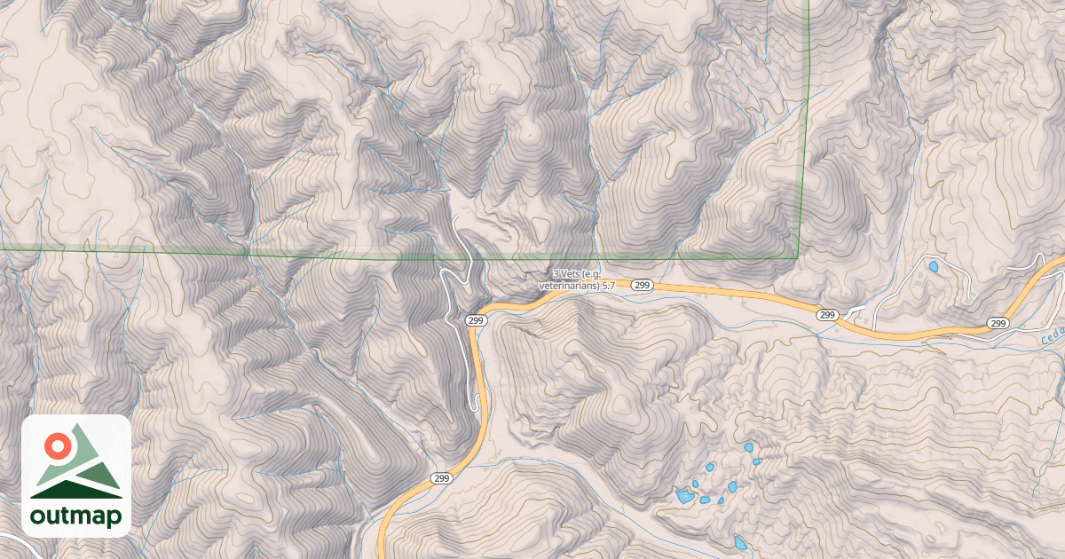 Map of 3 Vets (e.g. veterinarians)