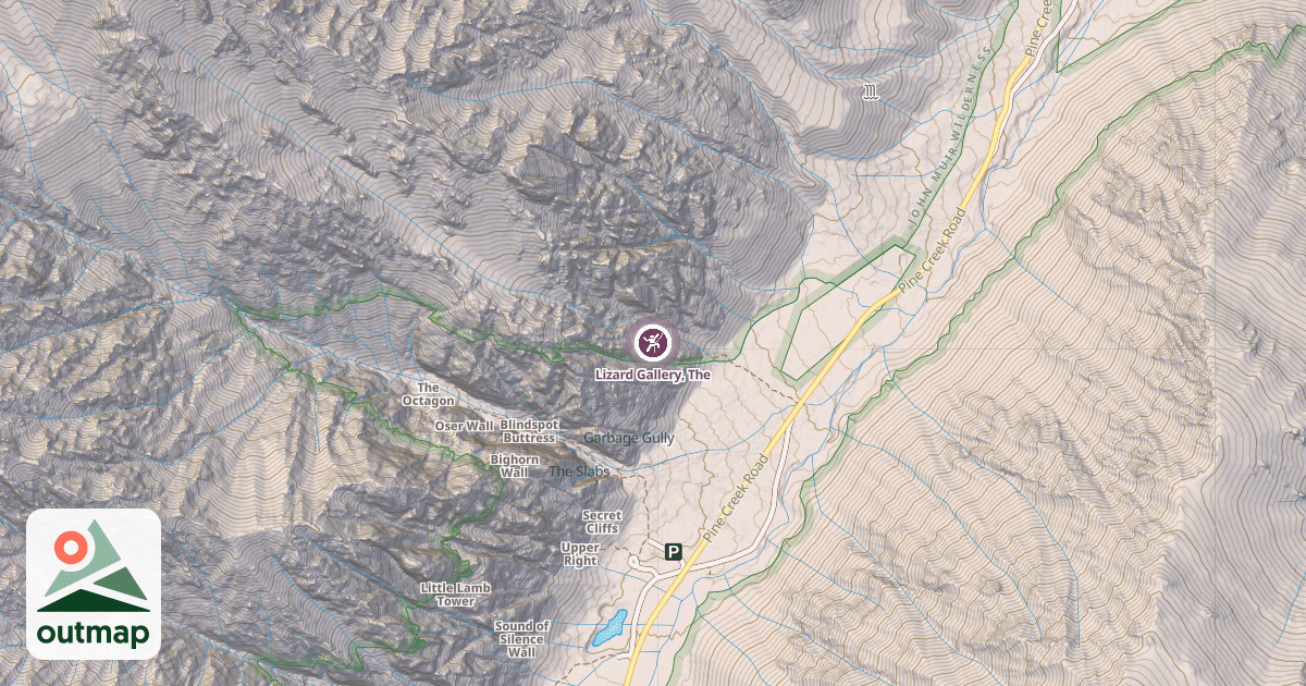 Map of Lizard Gallery, The
