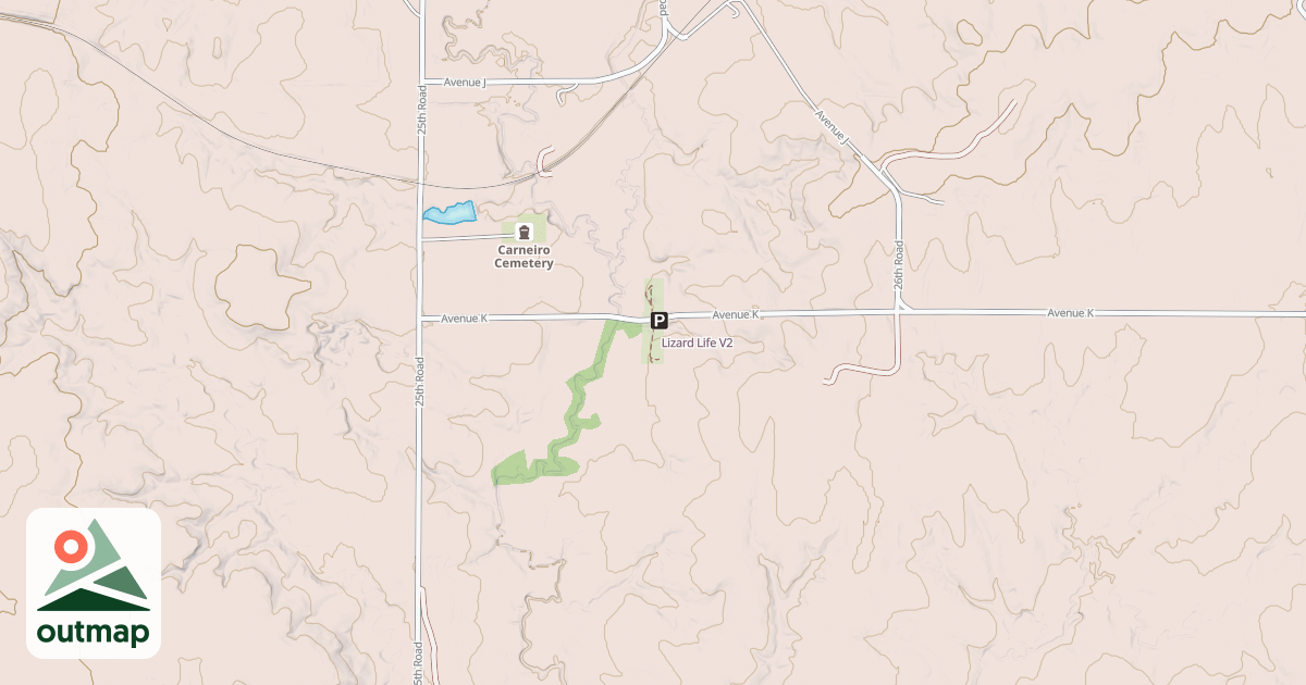 Map of Lizard Life