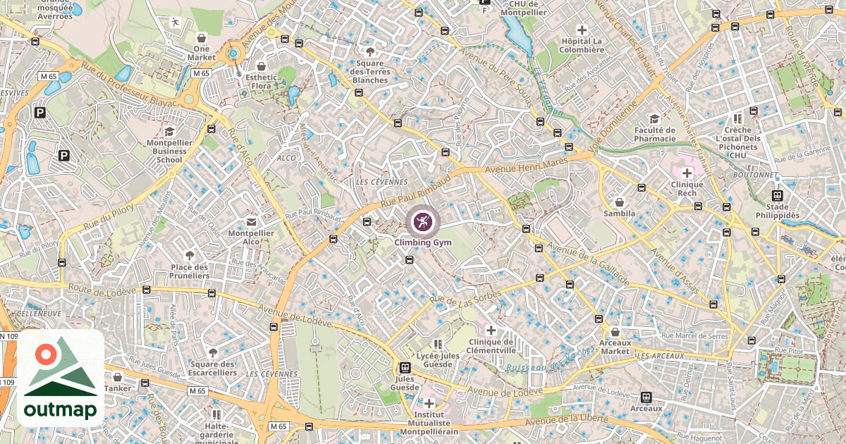 Map of Climbing Gym