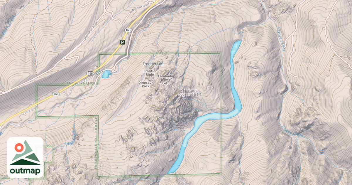 Map of Chick Dead, Dog Killed It