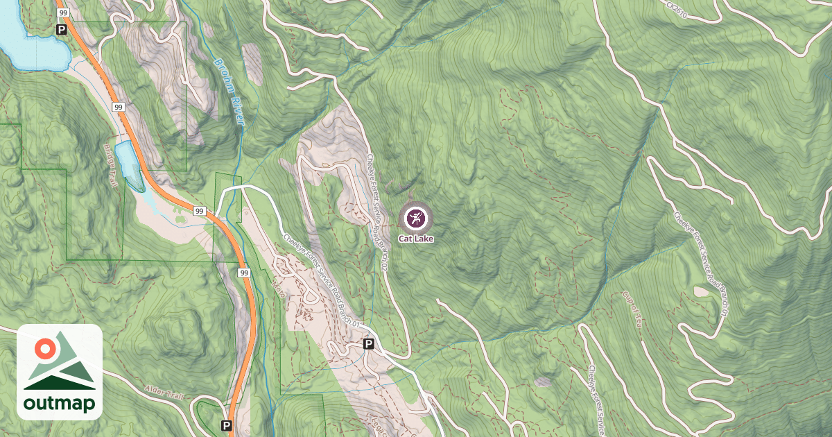 Map of Cat Lake