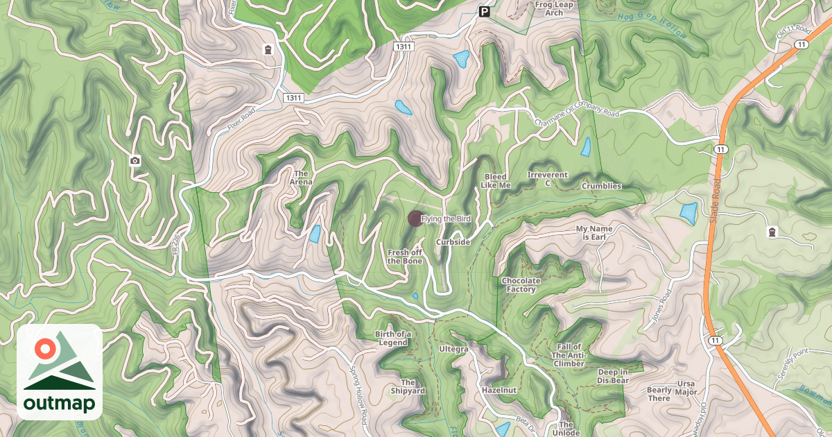 Map of Flying the Bird