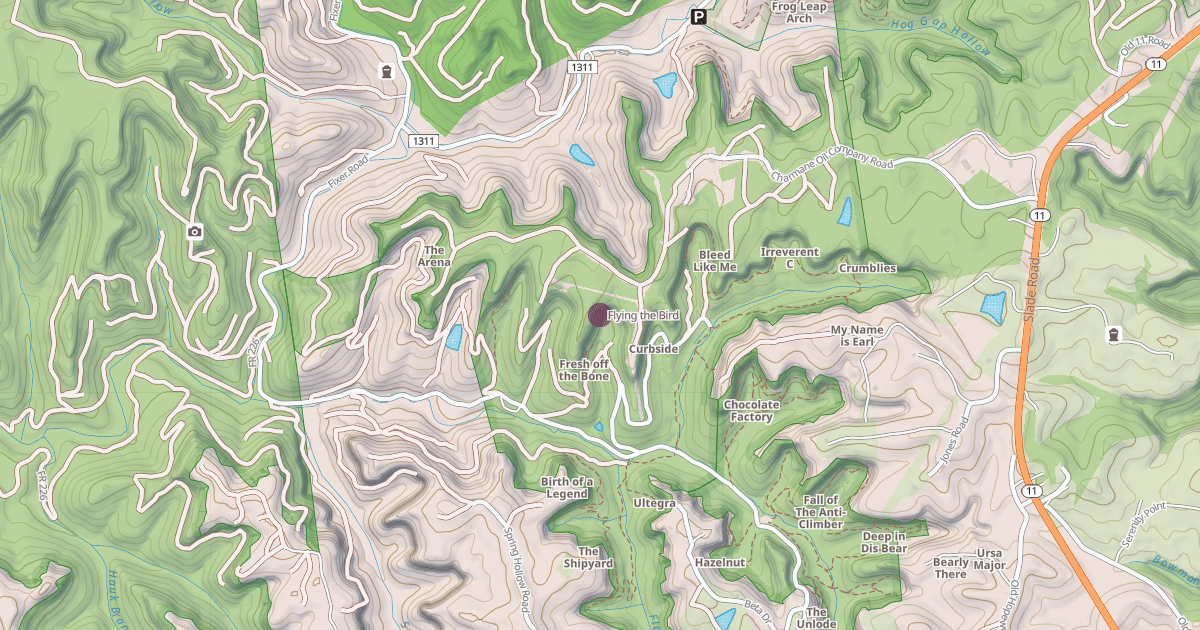 Map preview of Flying the Bird