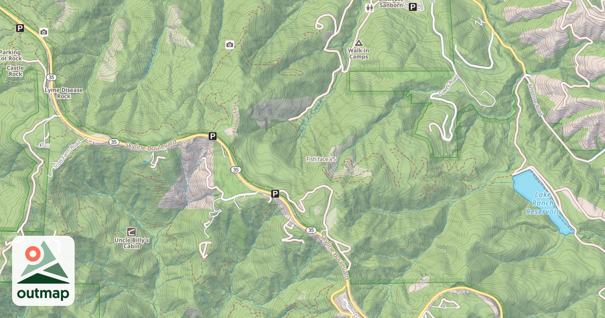 Map of Fish face
