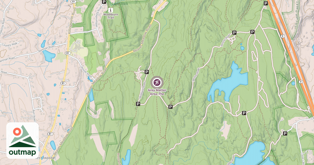 Map of Grey Matter Area, The