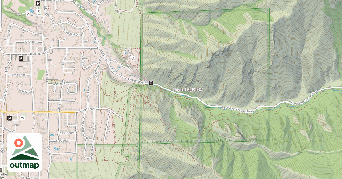 Map of Linguine's Spider