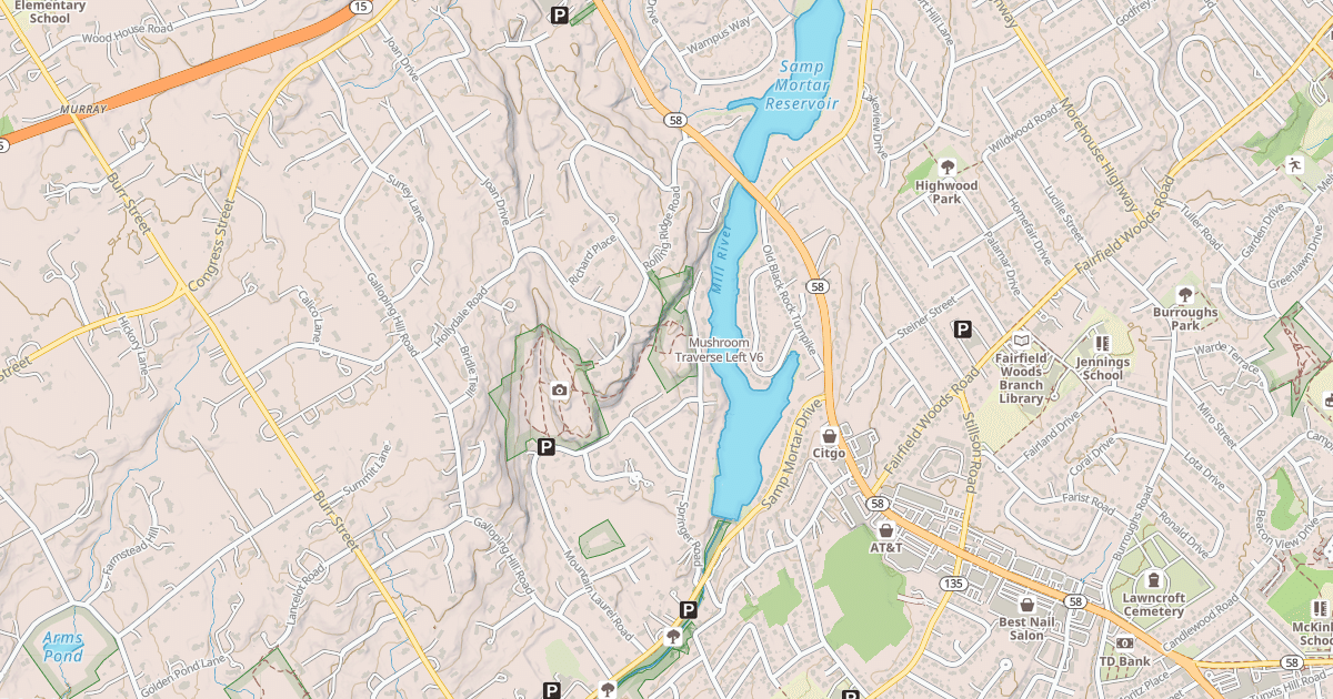 Map preview of Mushroom Traverse Left