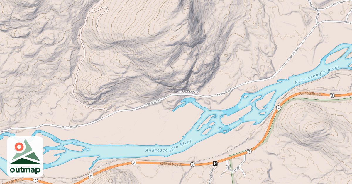 Map of Dickweed