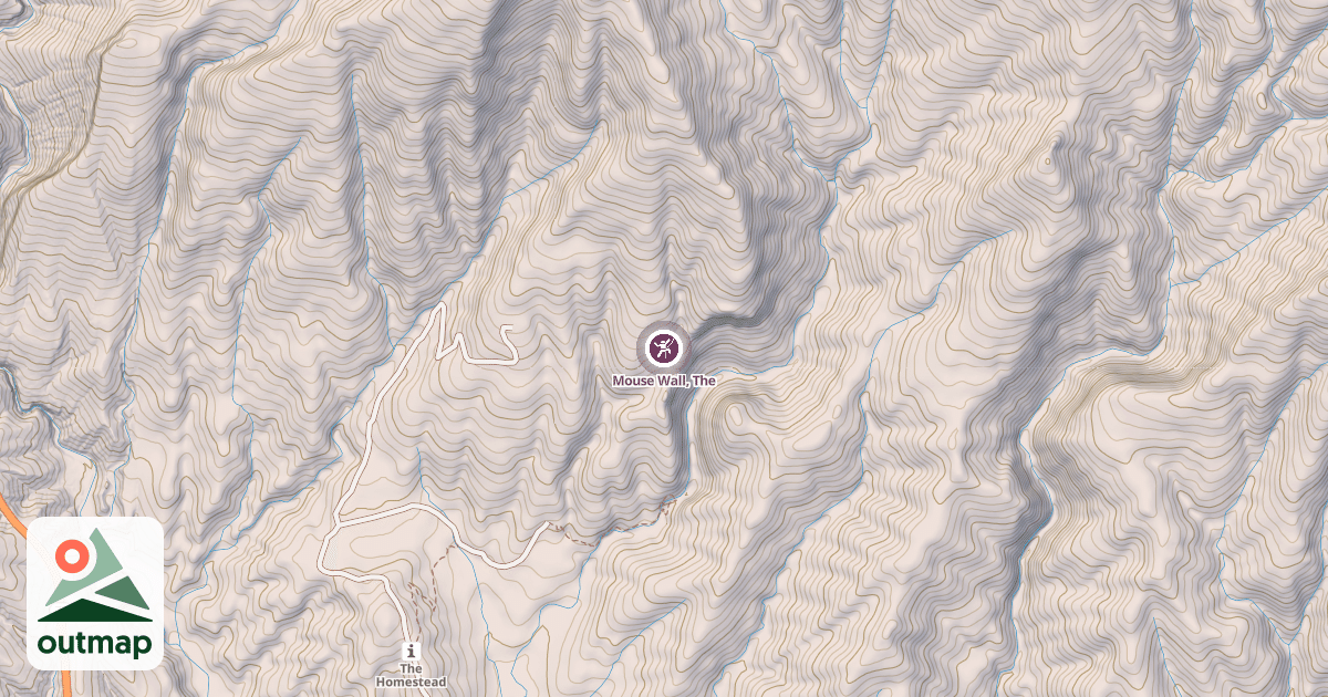 Map of Mouse Wall, The