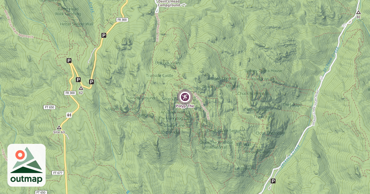 Map of Polyp, The