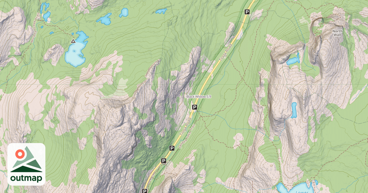 Map of Black Widow