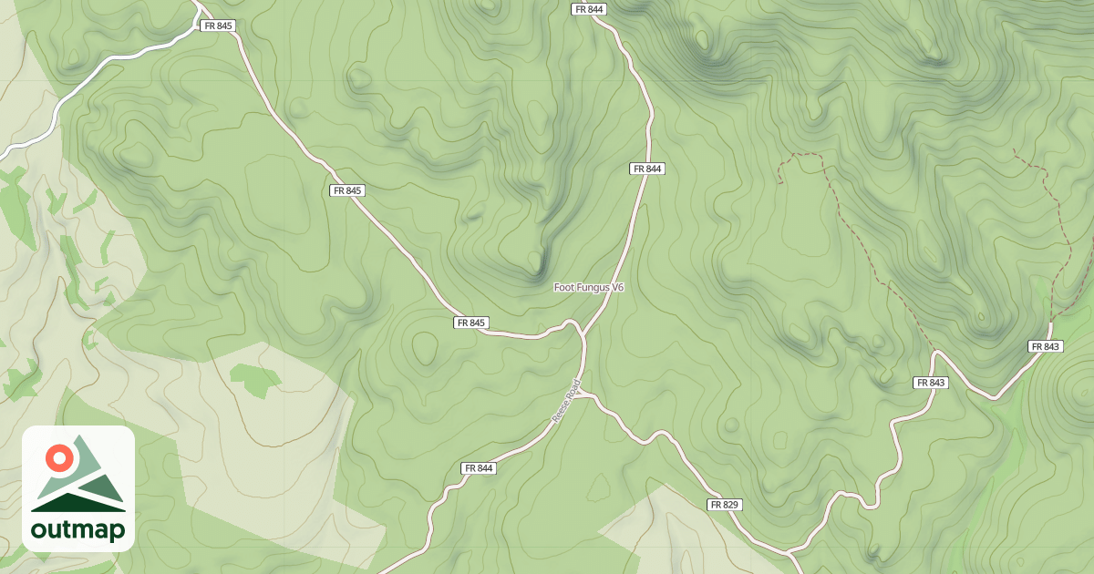 Map of Foot Fungus
