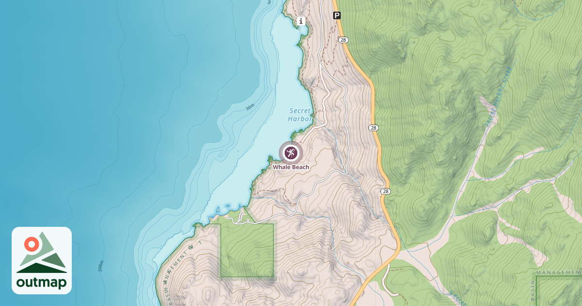 Map of Whale Beach