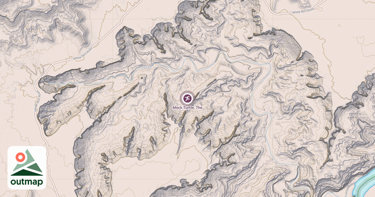 Map of Mock Turtle, The